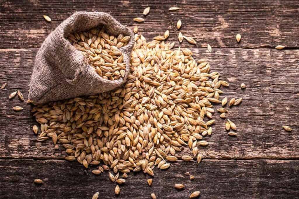 The Magic of Malt: A Nutrition Powerhouse